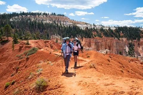 Two hikers wearing backpacks and using poles along a red rock path surrounded by forested cliffs.