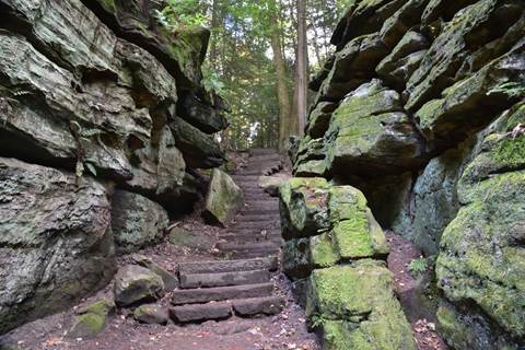 Staircase of rough-hewn gray stones winds between two walls of green moss-covered rock, up to trees.