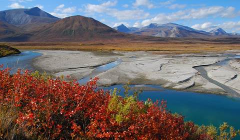 Fall colors ablaze around the Noatak River
