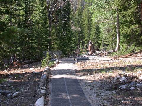 A wheelchair accessible with green trees around
