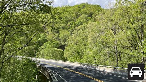 A road winds through dense trees.