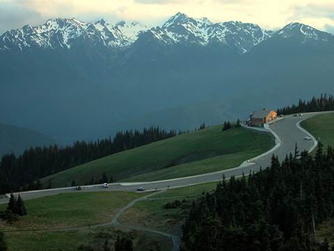 A view of Hurricane Ridge with the Olympic Mountains in the distance.