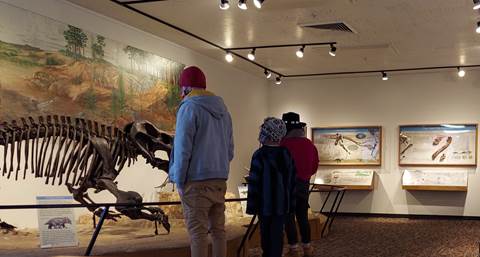 People looking at fossil exhibits in museum lighting, including articulated skeletons.