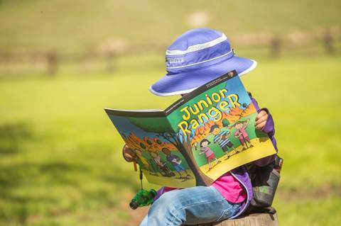 A child looking at a Junior Ranger booklet