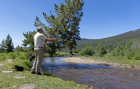 A many is fly fishing while standing along the bank of a river in summer
