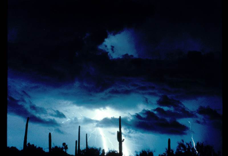 Lightning strike captured on camera with saguaros in the background