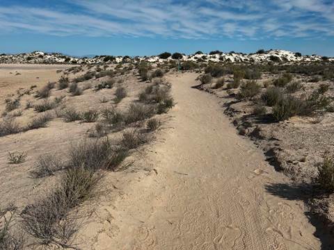 A dirt trail in the desert floor
