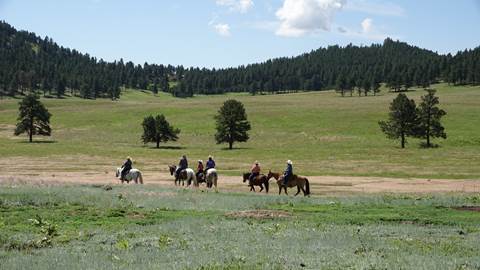 a group of people on horses riding into the prairie